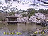 115-1572_IMG.JPG