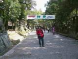 115-1586_IMG.JPG