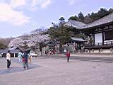116-1627_IMG.JPG