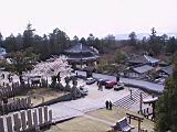 116-1632_IMG.JPG