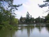 116-1641_IMG.JPG