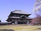 116-1642_IMG.JPG