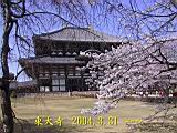 116-1643_IMG.JPG