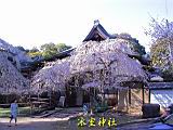 116-1669_IMG.JPG