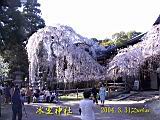 116-1670_IMG.JPG