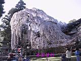 116-1672_IMG.JPG