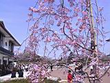 116-1693_IMG.JPG