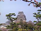 116-1698_IMG.JPG
