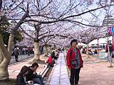 117-1720_IMG.JPG