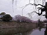 117-1795_IMG.JPG