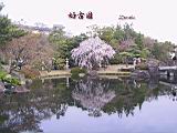 117-1770_IMG.JPG