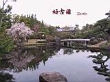 117-1772_IMG.JPG