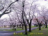 118-1802_IMG.JPG