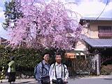 118-1846_IMG.JPG