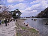 118-1852_IMG.JPG