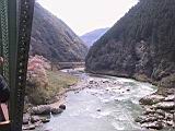 118-1826_IMG.JPG