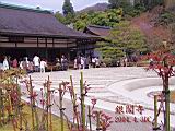 120-2002_IMG.JPG