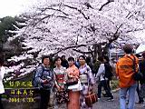 120-2035_IMG.JPG