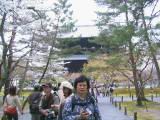 120-2050_IMG.JPG