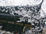 120-2052_IMG.JPG