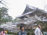 120-2055_IMG.JPG