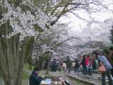 120-2060_IMG.JPG