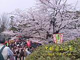 120-2074_IMG.JPG