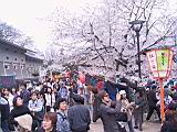 120-2075_IMG.JPG