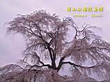 120-2076_IMG.JPG