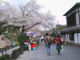 120-2088_IMG.JPG