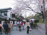 120-2089_IMG.JPG