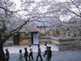 120-2090_IMG.JPG