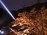 121-2117_IMG.JPG