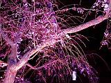 121-2126_IMG.JPG