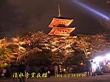 121-2136_IMG.JPG