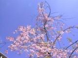 121-2156_IMG.JPG