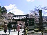 121-2157_IMG.JPG