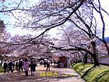 121-2159_IMG.JPG