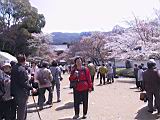121-2162_IMG.JPG