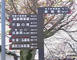 121-2166_IMG.JPG