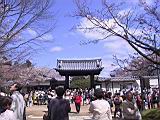 121-2167_IMG.JPG