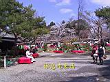 121-2169_IMG.JPG