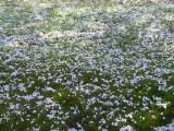 121-2174_IMG.JPG