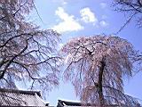 121-2182_IMG.JPG