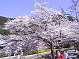 122-2206_IMG.JPG