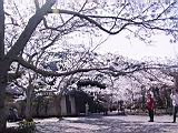 122-2235_IMG.JPG