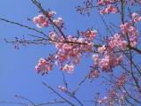 122-2240_IMG.JPG