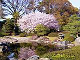 122-2262_IMG.JPG