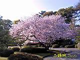 122-2263_IMG.JPG