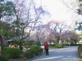 122-2273_IMG.JPG